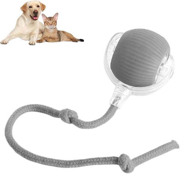 PawSphere™ Smart Pet Ball – Interactive & Pet-Friendly
