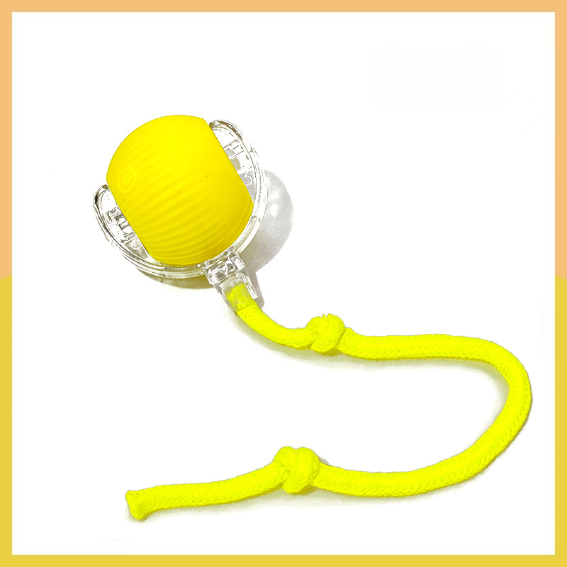 PawSphere™ Smart Pet Ball – Interactive & Pet-Friendly