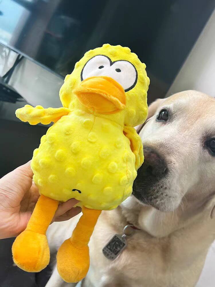 Calming Duck Toy by NinnaPet®
