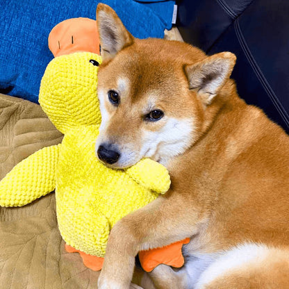 Calming Duck Toy by NinnaPet®