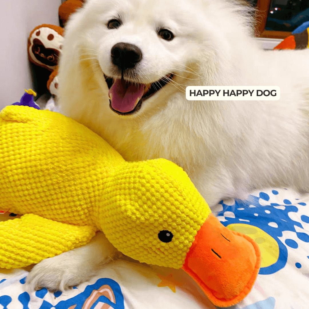 Calming Duck Toy by NinnaPet®