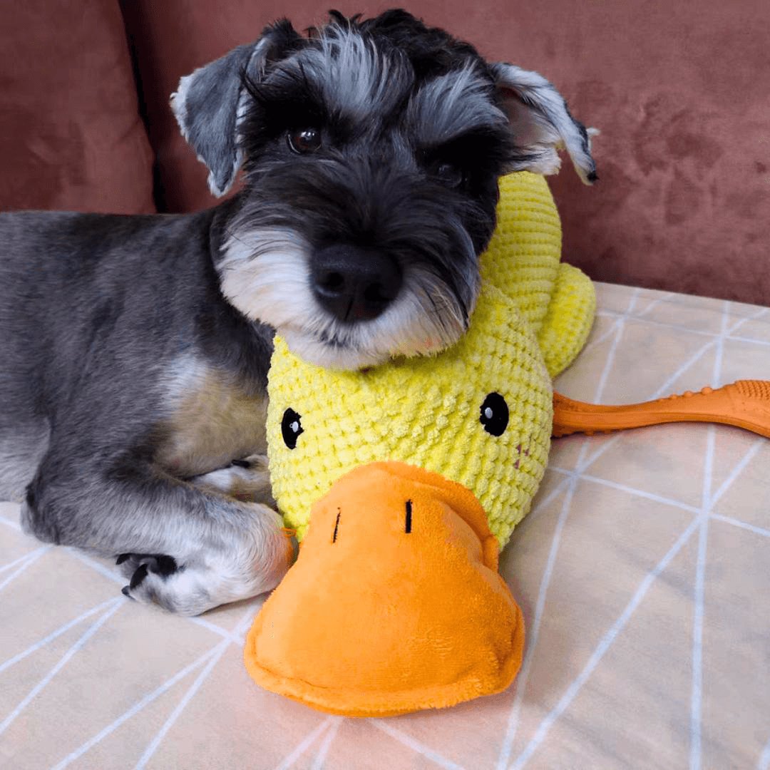 Calming Duck Toy by NinnaPet®