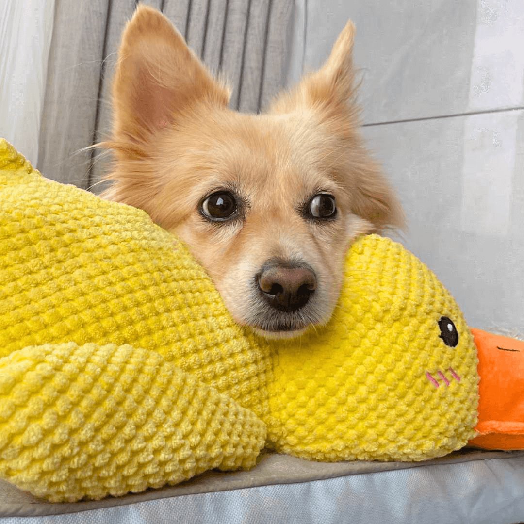 Calming Duck Toy by NinnaPet®