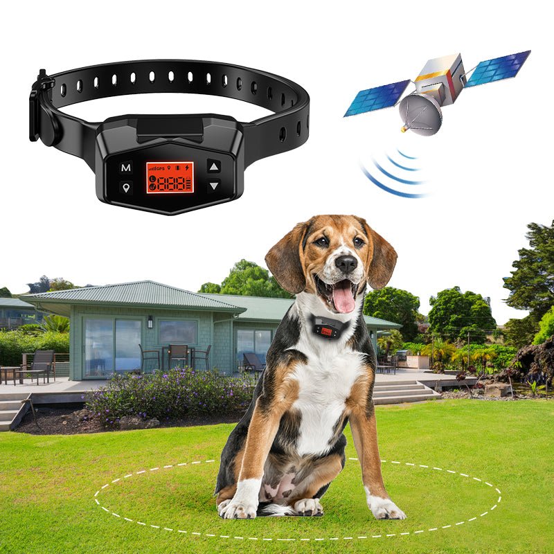 GPS Wireless Dog Fence by NinnaPet®