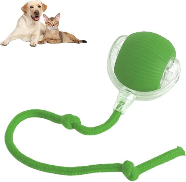 PawSphere™ Smart Pet Ball – Interactive & Pet-Friendly