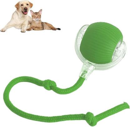 PawSphere™ Smart Pet Ball – Interactive & Pet-Friendly