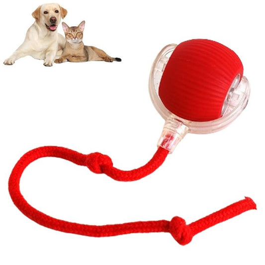 PawSphere™ Smart Pet Ball – Interactive & Pet-Friendly