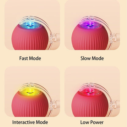PawSphere™ Smart Pet Ball – Interactive & Pet-Friendly