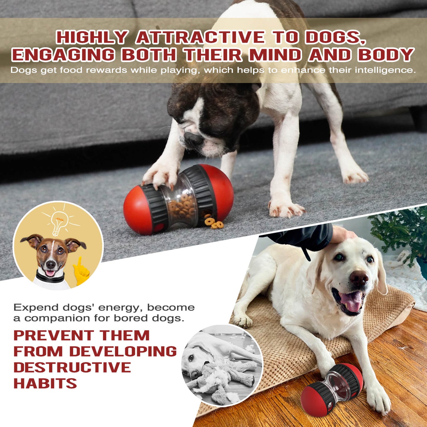 SnackQuest™ Dog Puzzle Toy - Perfect Alternative to Slow Feeder Dog Bowls