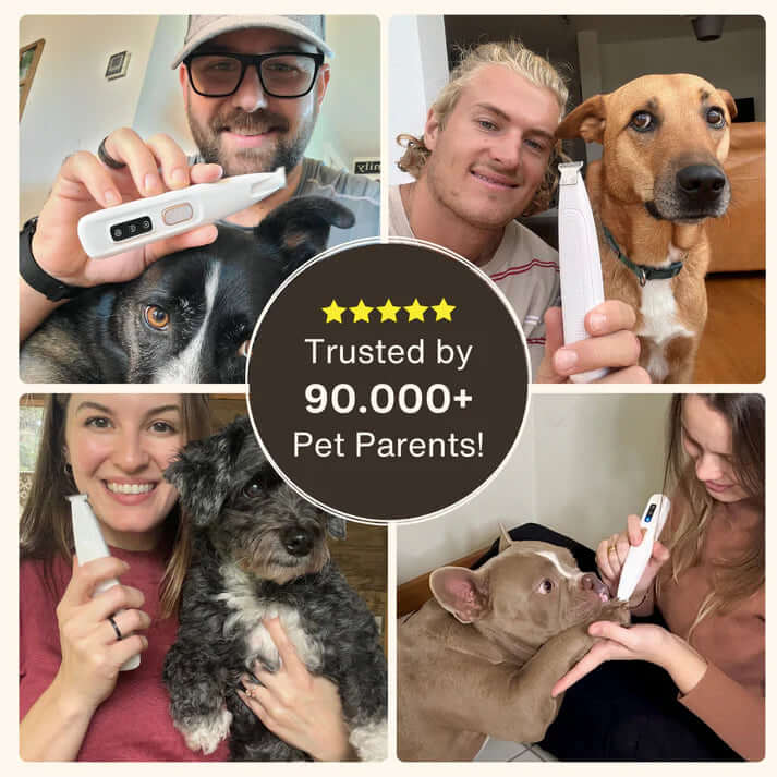 CalmiTrim™ - Pet Precision Trimmer