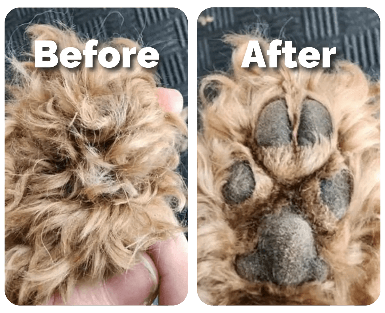 CalmiTrim™ - Pet Precision Trimmer