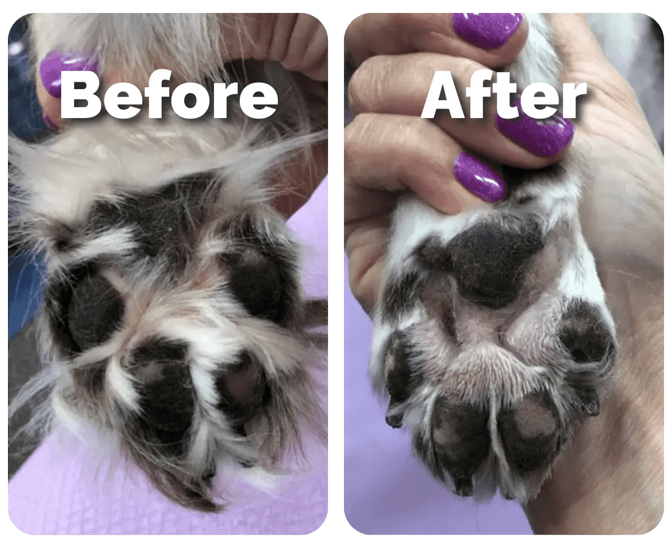 CalmiTrim™ - Pet Precision Trimmer