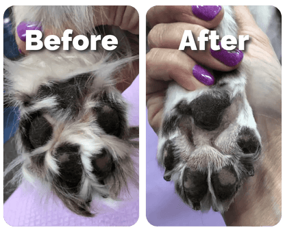CalmiTrim™ - Pet Precision Trimmer