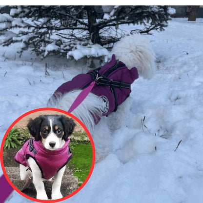 NinnaPet® - Waterproof Winter Dog Jacket with Built-in Harness