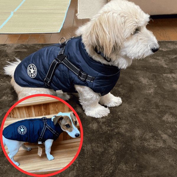 NinnaPet® - Waterproof Winter Dog Jacket with Built-in Harness