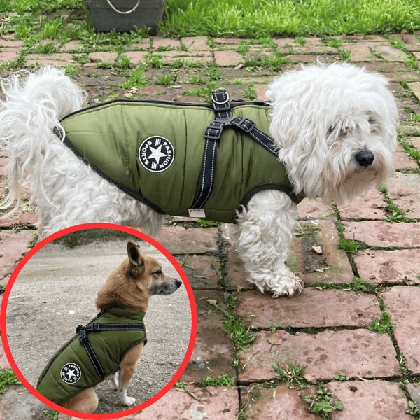 NinnaPet® - Waterproof Winter Dog Jacket with Built-in Harness