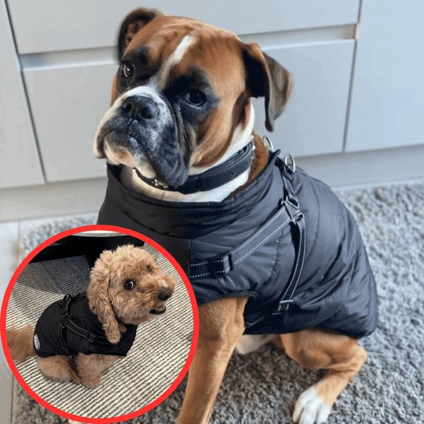 NinnaPet® - Waterproof Winter Dog Jacket with Built-in Harness