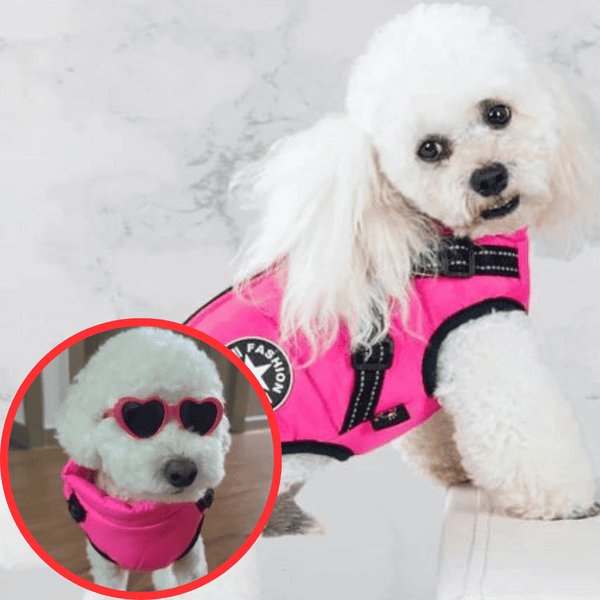 NinnaPet® - Waterproof Winter Dog Jacket with Built-in Harness
